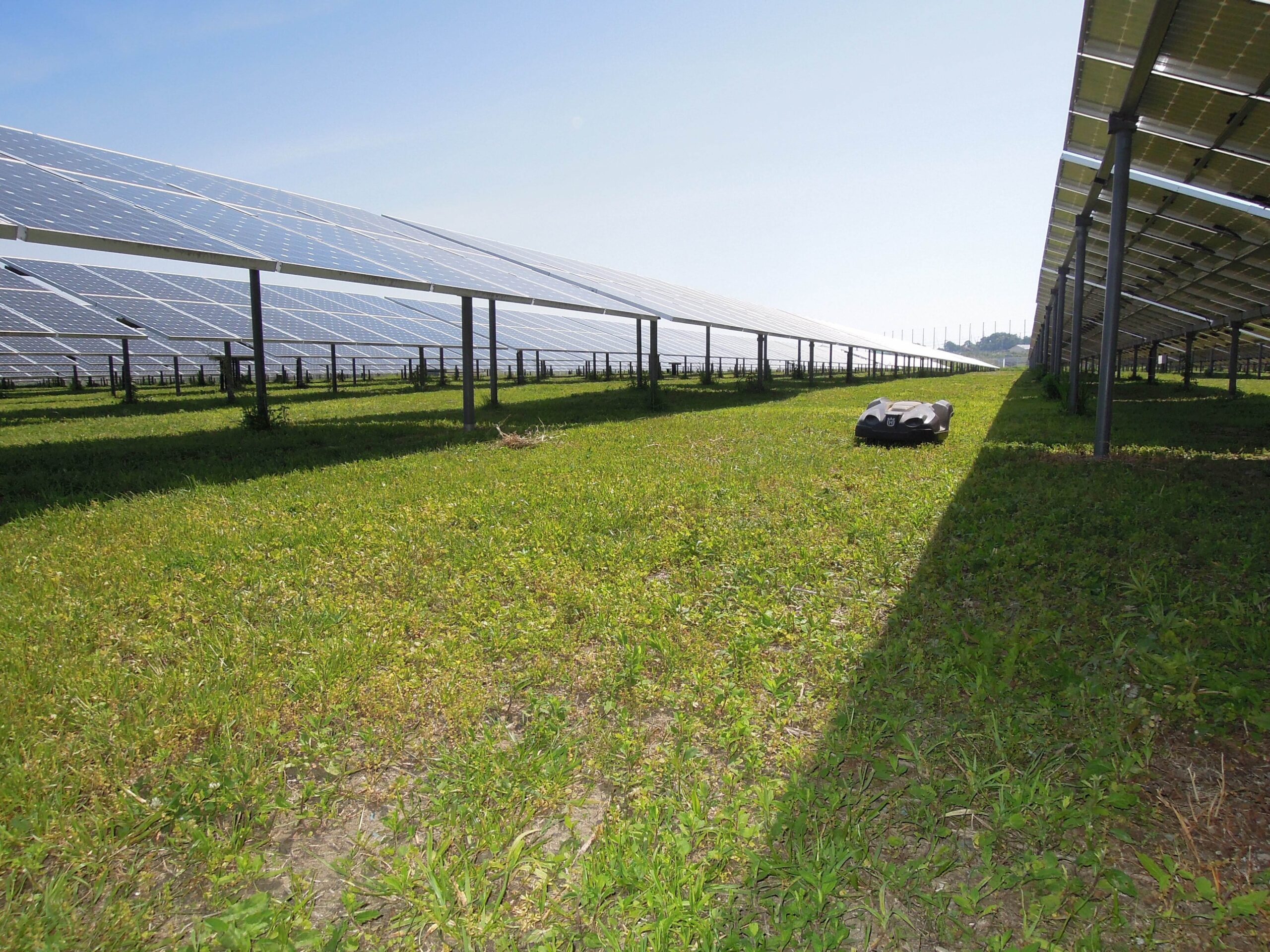 太陽光発電所のロボット芝刈機による草刈りの着手