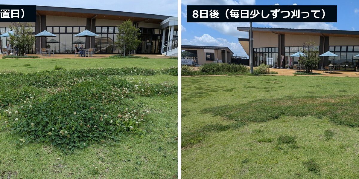 伸びたら刈る、から「伸ばさない」へ